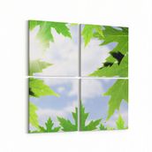 Olla 10484K4 Ağaç Görseli Kare 4 Parça 65x65 cm Kanvas Tablo