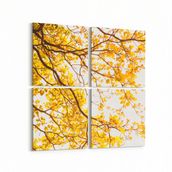 Olla 10565K4 Ağaç Görseli Kare 4 Parça 65x65 cm Kanvas Tablo