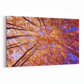 Olla 10606Y Ağaç Görseli Yatay 30x20 cm Kanvas Tablo
