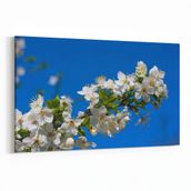 Olla 10644Y Ağaç Görseli Yatay 30x20 cm Kanvas Tablo