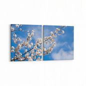 Olla 10700K2Y Ağaç Görseli Kare 2 Parça Yatay 65x30 cm Kanvas Tablo