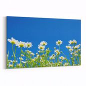 Olla 10712Y Ağaç Görseli Yatay 30x20 cm Kanvas Tablo