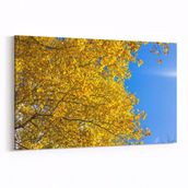 Olla 10838Y Ağaç Görseli Yatay 30x20 cm Kanvas Tablo