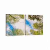 Olla 10868K2Y Ağaç Görseli Kare 2 Parça Yatay 65x30 cm Kanvas Tablo