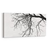 Olla 10892YD Ağaç Görseli Yatay Dar 60x30 cm Kanvas Tablo