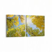 Olla 10963K2Y Ağaç Görseli Kare 2 Parça Yatay 65x30 cm Kanvas Tablo