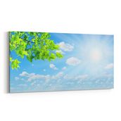 Olla 11060YD Ağaç Görseli Yatay Dar 60x30 cm Kanvas Tablo