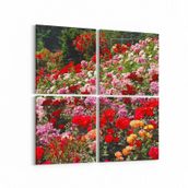 Olla 11575K4 Çiçek Görseli Kare 4 Parça 65x65 cm Kanvas Tablo