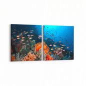Olla 12079K2Y Akvaryum Balık Görseli Kare 2 Parça Yatay 65x30 cm Kanvas Tablo