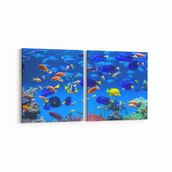 Olla 12093K2Y Akvaryum Balık Görseli Kare 2 Parça Yatay 65x30 cm Kanvas Tablo