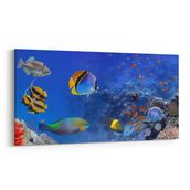 Olla 12151YD Akvaryum Balık Görseli Yatay Dar 60x30 cm Kanvas Tablo