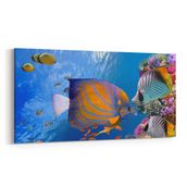 Olla 12153YD Akvaryum Balık Görseli Yatay Dar 60x30 cm Kanvas Tablo