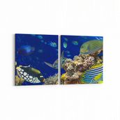 Olla 12167K2Y Akvaryum Balık Görseli Kare 2 Parça Yatay 65x30 cm Kanvas Tablo