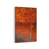 Olla 13335D Doğa Manzara Görseli Dikey 20x30 cm Kanvas Tablo