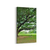 Olla 13426DD Doğa Manzara Görseli Dikey Dar 30x60 cm Kanvas Tablo
