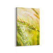 Olla 13670D Doğa Manzara Görseli Dikey 20x30 cm Kanvas Tablo