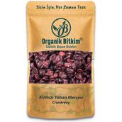 Organik Bitkim 250 gr Yaban Mersini Kurusu