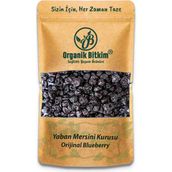Organik Bitkim 500 gr Blueberry Yaban Mersini Kurusu