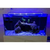 OrionLed Mavi 30 cm Akvaryum Led Aydınlatma