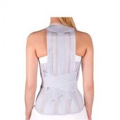 Orthocare 2550 Large Dorsocare Bel Korsesi