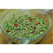Orti 25 kg Yeşil Mercimek