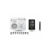 Osawa OSW-8107 50 W USB/BT Şarzli Portatif Anfi