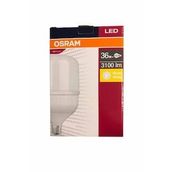 Osram Led Jumbo Torch Ampul