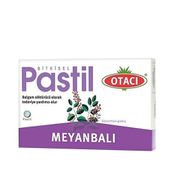 Otacı Meyanbalı 16 Pastil