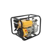 Palmera PA250T Benzinli Su Motoru