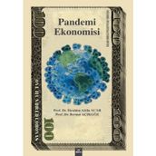 Pandemi Ekonomisi - Bernur Açıkgöz