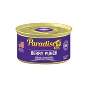 Paradise Air Berry Punch 42 gr Oda ve Araba Kokusu