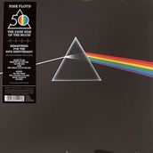 Parlophone Pink Floyd 50TH Anniversary The Dark Side Of The Moon 33 Plak Rock Müzik Sanatçısı
