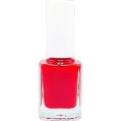 Pazarız Oje No 137 + 761 15 Parça Oje Nail Art Fırça Kozmetik Seti