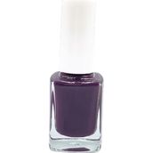 Pazarız Oje No 289 + 49 15 Parça Oje Nail Art Fırça Kozmetik Seti