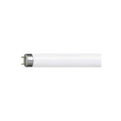 Philips 36W Günışığı Floresan Ampul