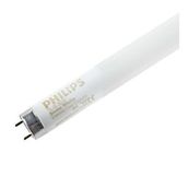 Philips White 12000 120 cm Tl-D 36w T8 Floresan