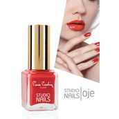 Pierre Cardin 047 Studio Nails Oje