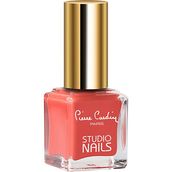Pierre Cardin 058 Studio Nails Oje
