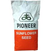 Pioneer P64LC108 Ayçekirdeği Tohumu