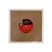Plakevi İzmir Berkant Aşk Bir Yalnızlık Rüzgarı - İhtiyacın Olursa 45 lik Plak (Orjnal Dönem Baskı Plak)