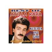 plakmarketi PLAK - Atilla Kaya / Best of - Adını yollara yazdım - Kutupta yaz gibi