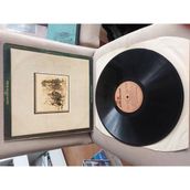 Plakperest The Stills-Young Band – Long May You Run - 1977 Türkiye Basım 33 Lük Albüm Lp Plak