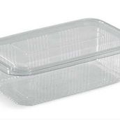 Plastik Sızdırmaz Kap 750 gr 100 Adet