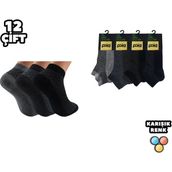 Pola 2040 Bambu 12'li Erkek Patik Çorap