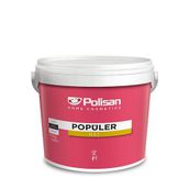 Polisan 3 kg Mat Siyah Rapid Boya
