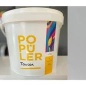 Polisan Popüler Mat Beyaz 17.5 Kg Tavan Boyası