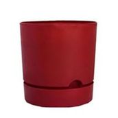 Poliwork Begonya 150x145 mm Bordo Saksı
