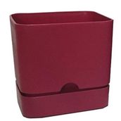 Poliwork Begonya Kare 13 cm Bordo Saksı
