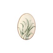 Porland Aloe 35x24x11 cm Tabak
