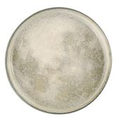 Porland Stoneware Selene 30 cm Düz Tabak
